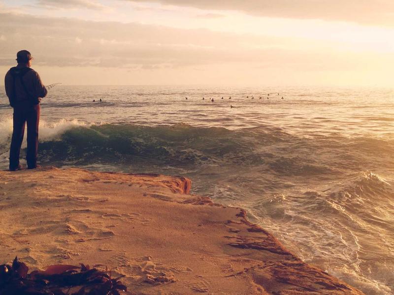 宠物侦探<br>ly9ugd.cn 寻找走失猫咪